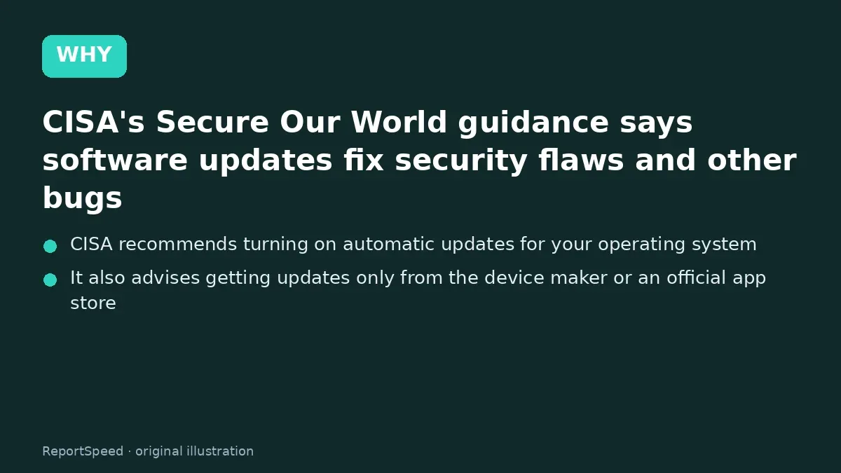 Cause: CISA's Secure Our World guidance says software updates fix security flaws and other bugs