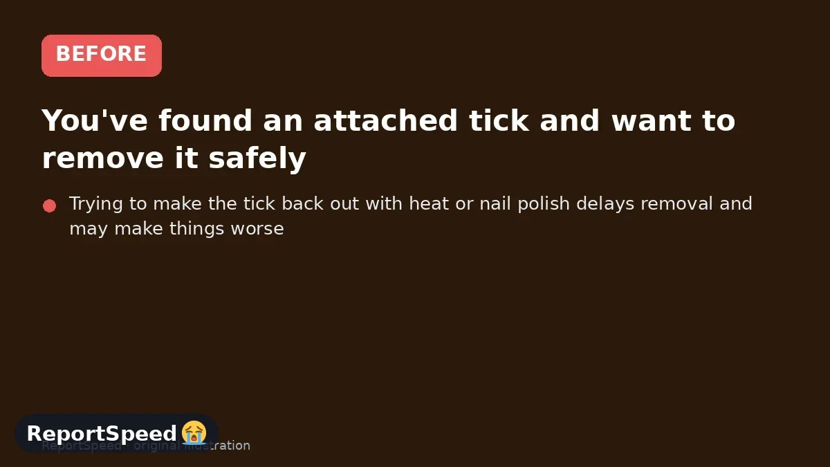 Before: You've found an attached tick and want to remove it safely