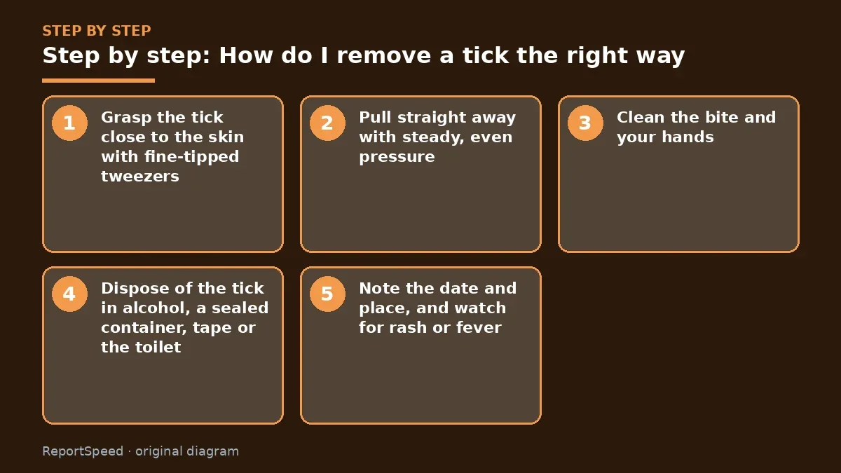 Step illustration: numbered steps for How do I remove a tick the right way