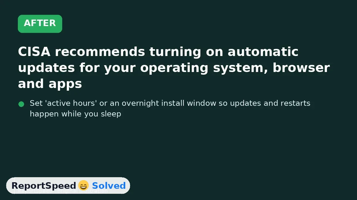 After: CISA recommends turning on automatic updates for your operating system, browser and apps
